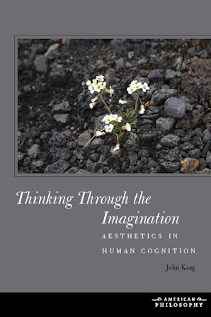 Thinking Through the Imagination