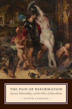 The Pain of Reformation Paperback  by Joseph Campana