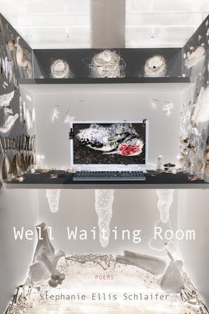 Well Waiting Room Paperback  by Stephanie Ellis Schlaifer