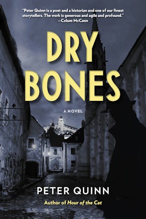 Dry Bones Paperback  by Peter Quinn