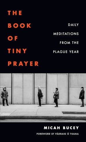 The Book of Tiny Prayer Paperback  by Micah Bucey