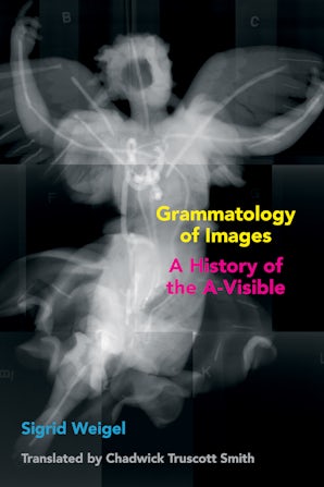 Grammatology of Images Paperback  by Sigrid Weigel