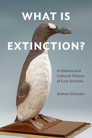 What Is Extinction? Paperback  by Joshua Schuster