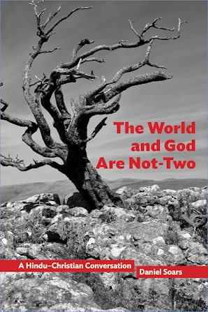 The World and God Are Not-Two Paperback  by Daniel Soars