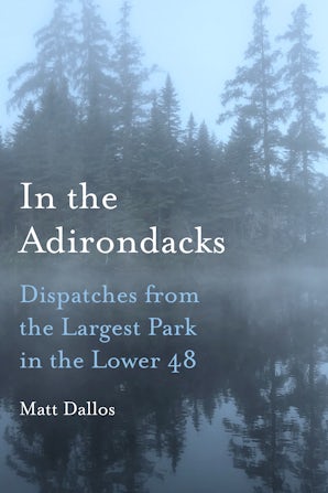 In the Adirondacks Hardcover  by Matt Dallos