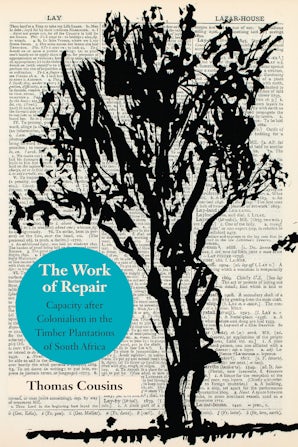The Work of Repair Paperback  by Thomas Cousins