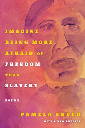 Imagine Being More Afraid of Freedom than Slavery Paperback  by Pamela Sneed