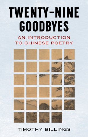 Twenty-Nine Goodbyes Hardcover  by Timothy Billings